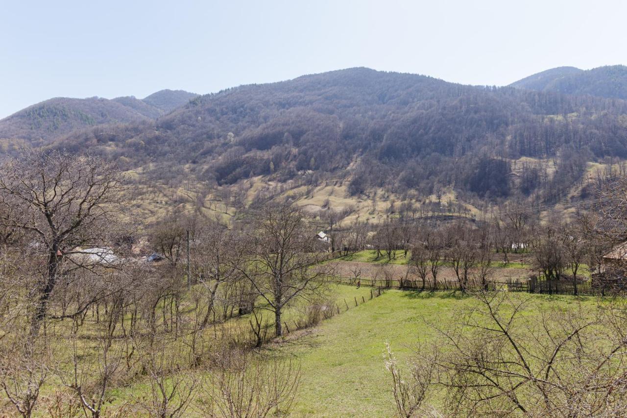 Nook Of Nature Basca Rozilei Bagian luar foto